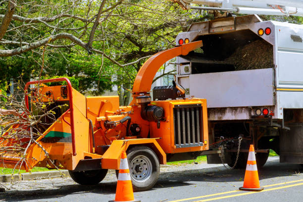 Best Arborist Consultation Services  in West Crossett, AR